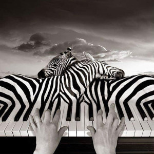 Thomas Barbey